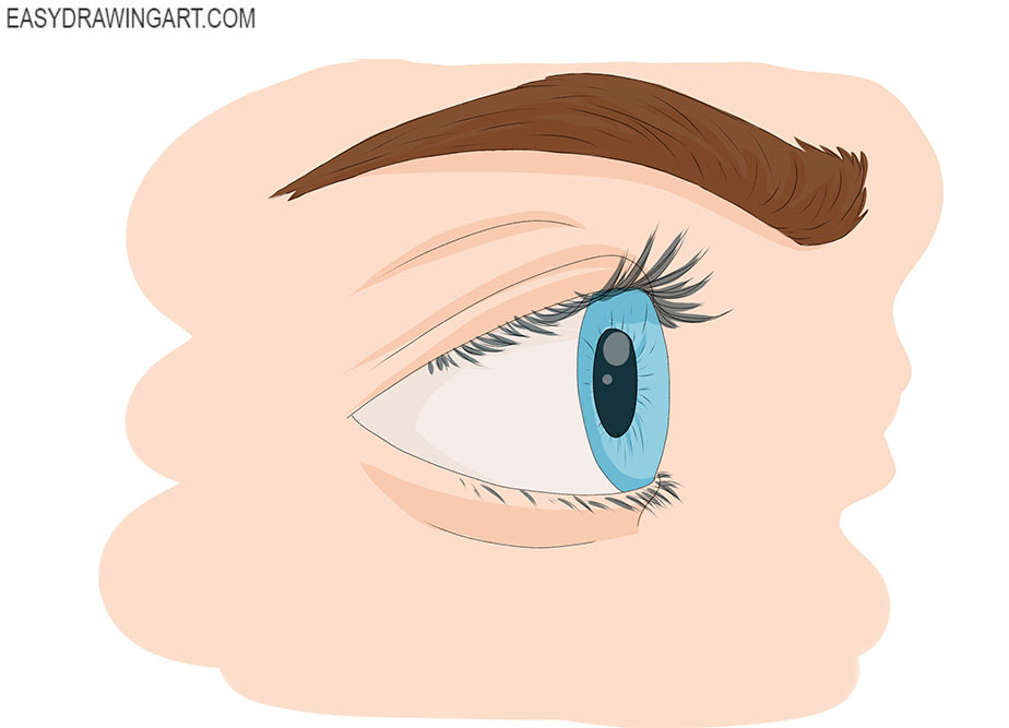 Eye from the Side drawing step by step for beginners