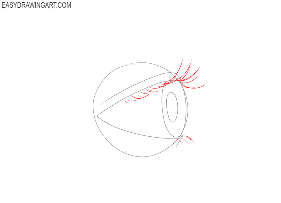How to Draw an Eye from the Side simple