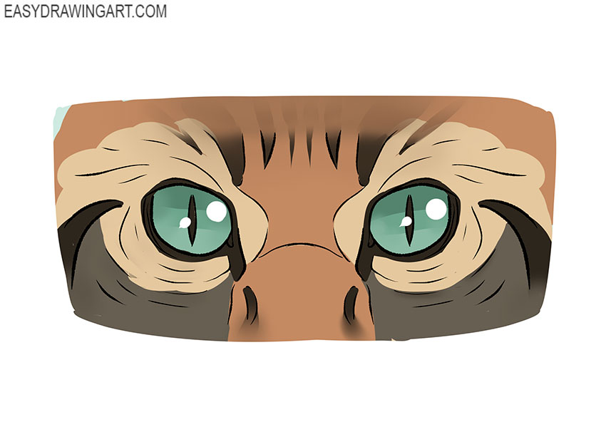 how to draw cat eyes with eye pencil