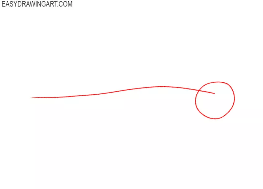 how to draw a great white shark easy