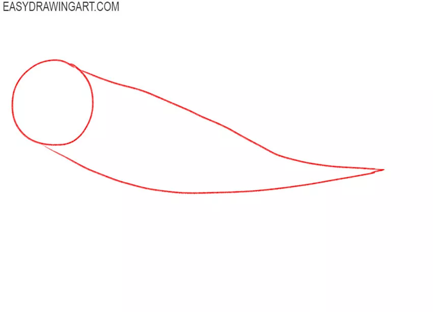 how to draw a megalodon shark