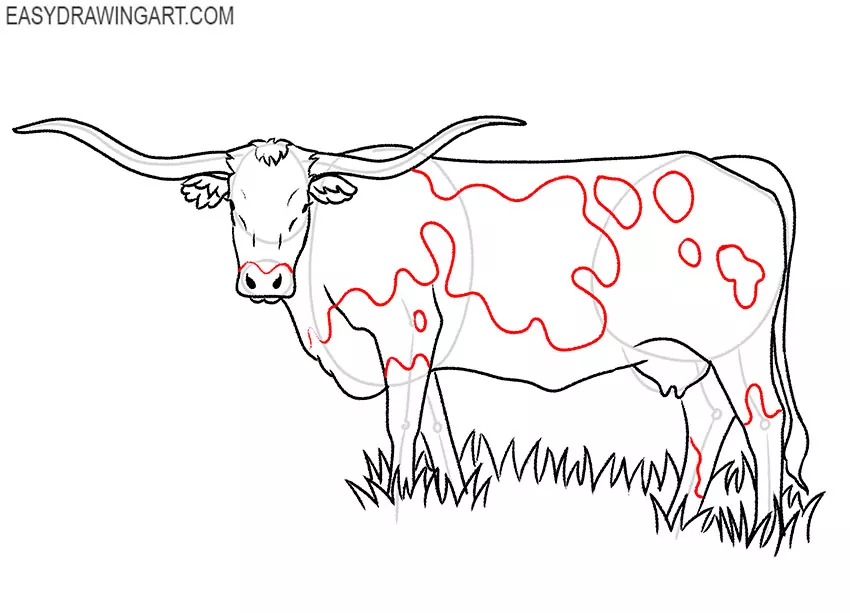 easy longhorn drawing