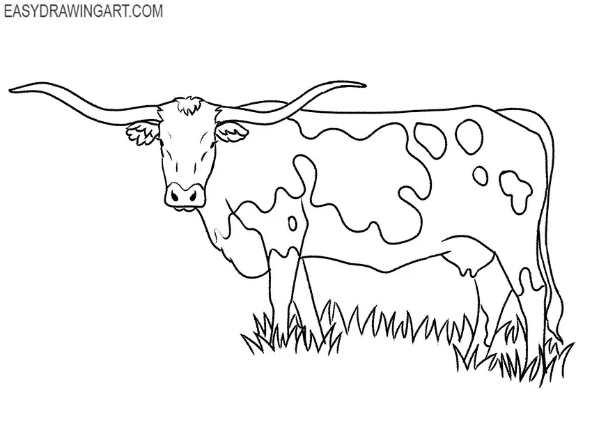 realistic longhorn drawing
