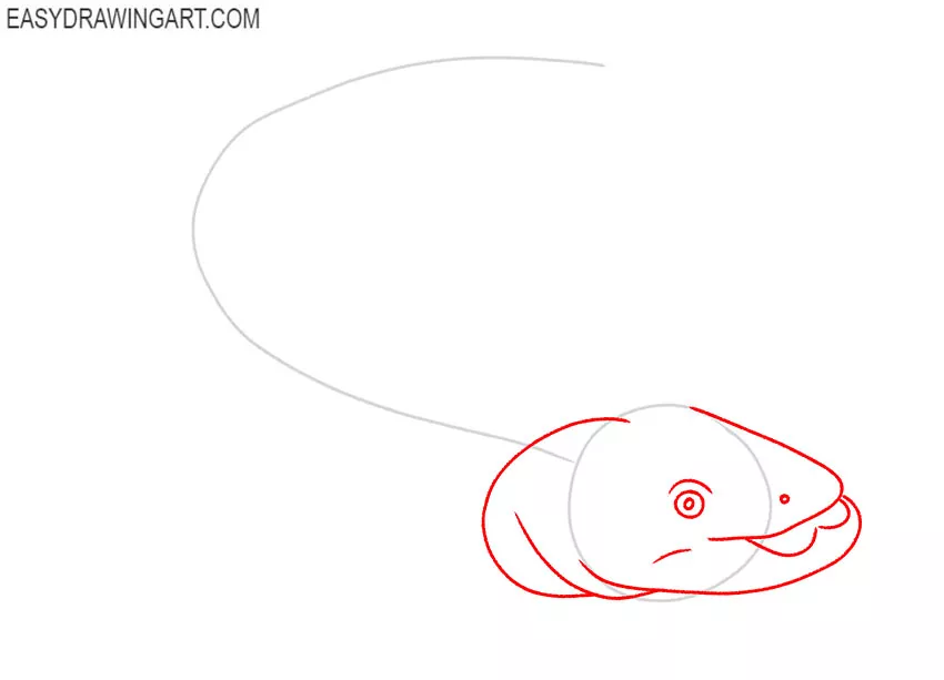 how to draw a catfish realistic