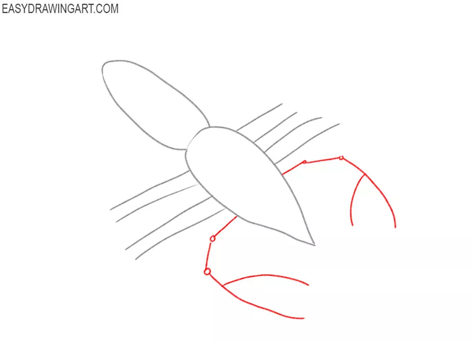 how to draw a lobster art hub
