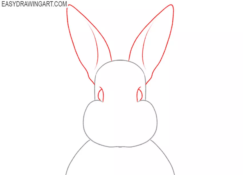 how to draw a rabbit face realistic
