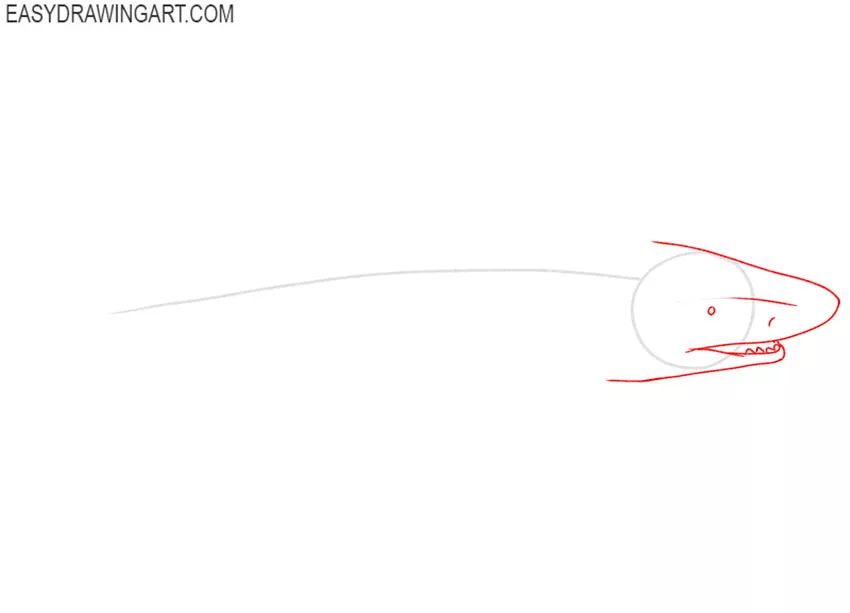 how to draw a realistic tiger shark