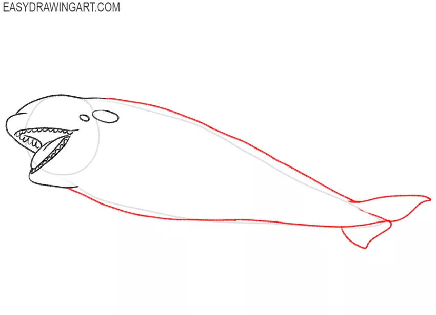 art hub how to draw an orca