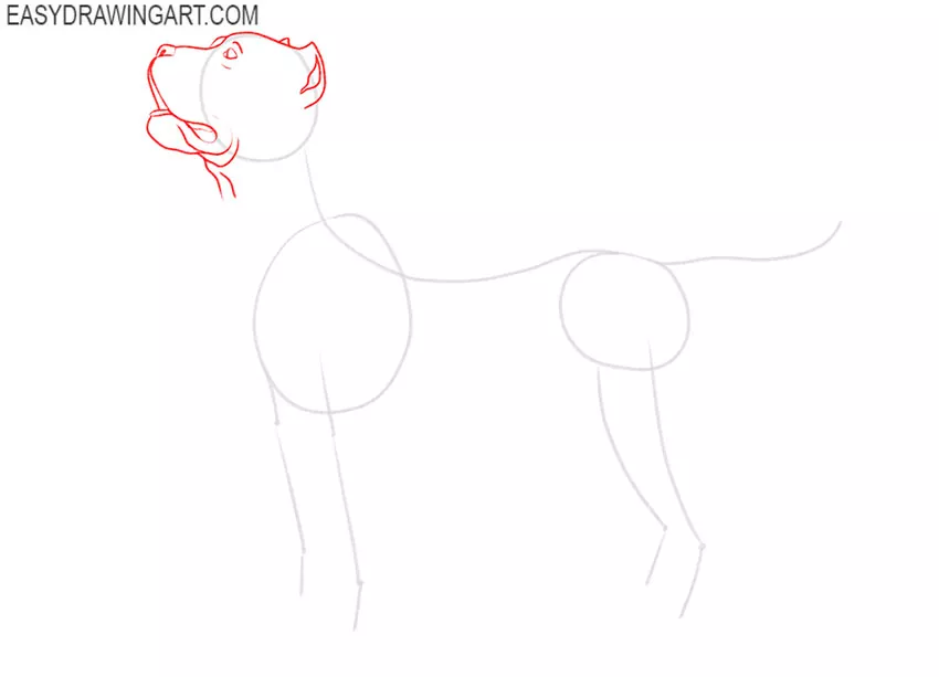 how to draw a pitbull easy step by step