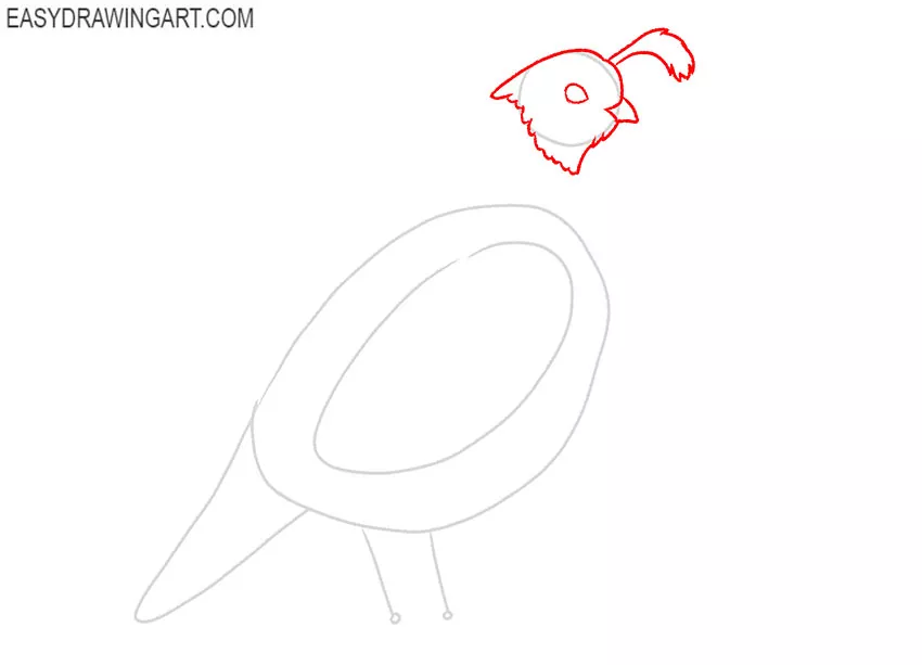 how to draw a quail bird