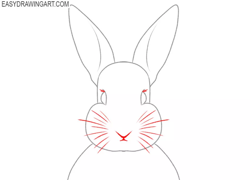 how to draw a rabbit face cartoon