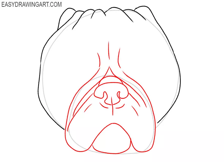 how to draw a realistic pug face step by step