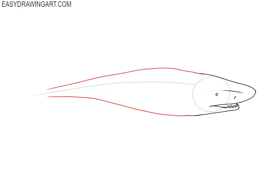 how to draw a tiger shark art hub