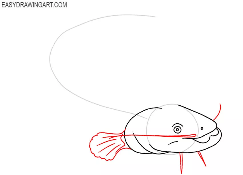 How to Draw a Catfish - Easy Drawing Art
