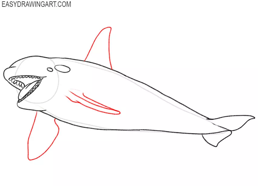 art hub how to draw an orca