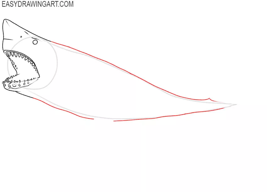 how to draw a cartoon megalodon