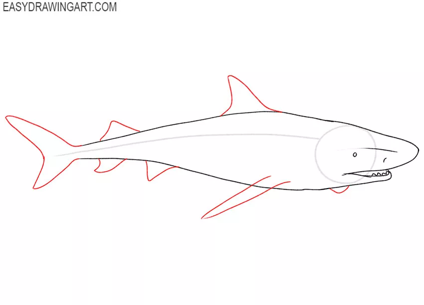 how to draw a cute tiger shark