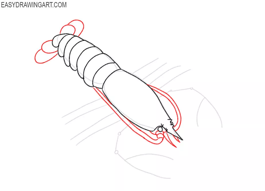 how to draw a lobster cartoon