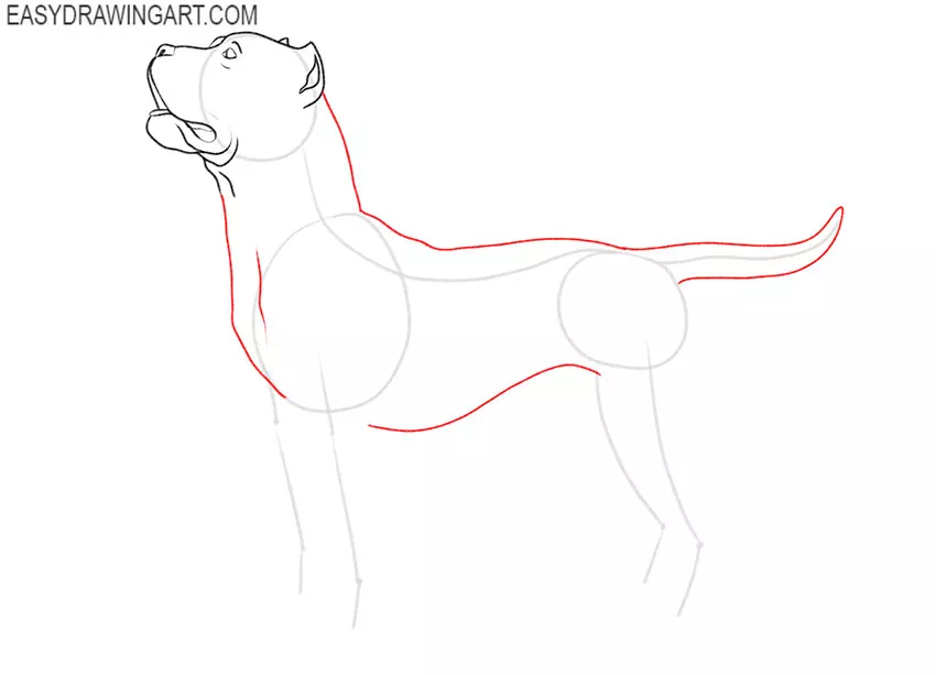 how to draw a pitbull puppy