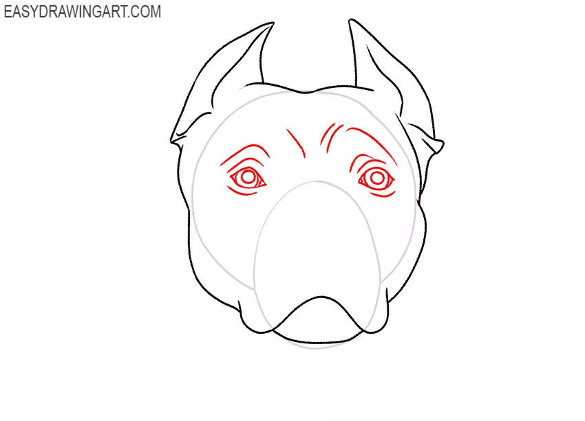 How To Draw A Pitbull Face Easy Drawing Art