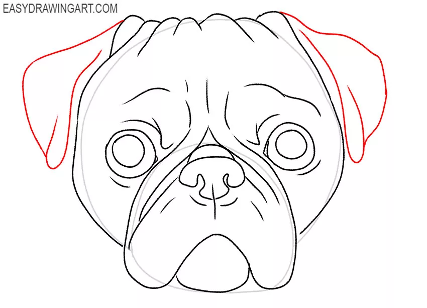 how to draw a cartoon pug face