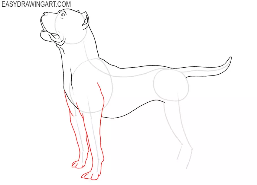 how to draw a dog a pitbull