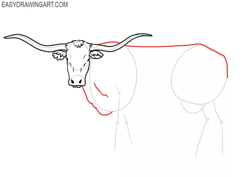 how to draw a realistic longhorn