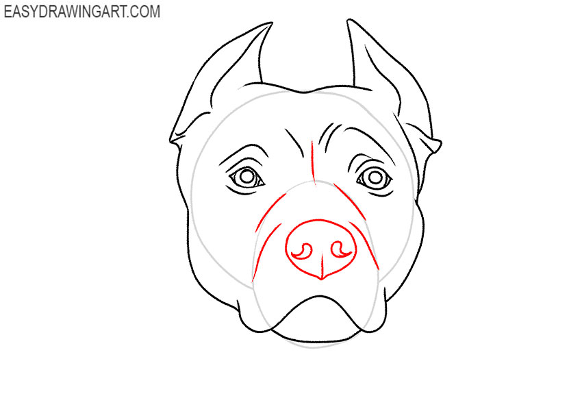 how to draw a pitbull face easy