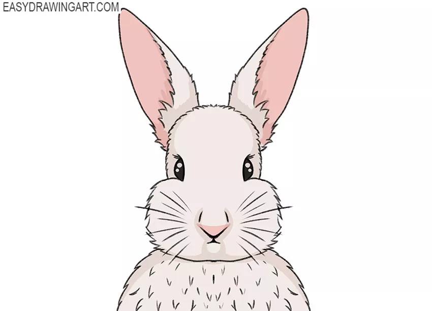 Cartoon bunny rabbit graphic 546258 Vector Art at Vecteezy