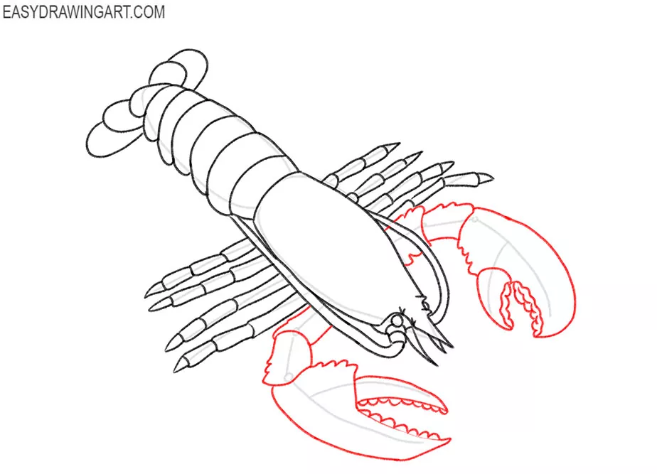 how to draw a cute cartoon lobster