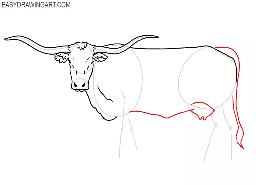 longhorn drawing lesson