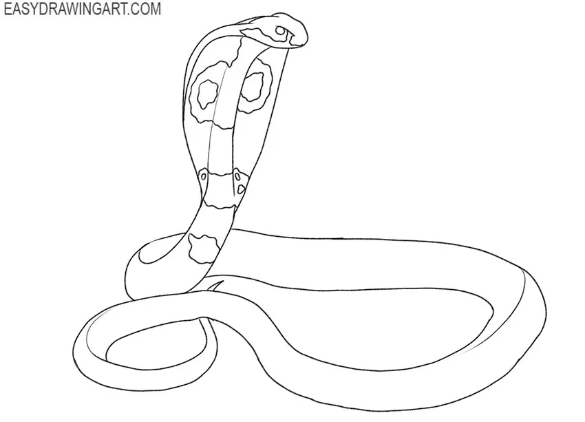 how to draw a cute king cobra