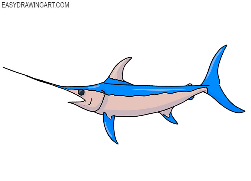  how to draw a cute swordfish