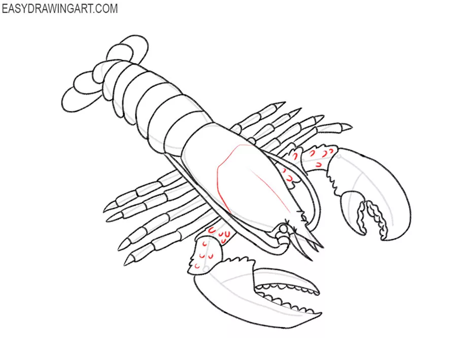 how to draw an easy cartoon lobster