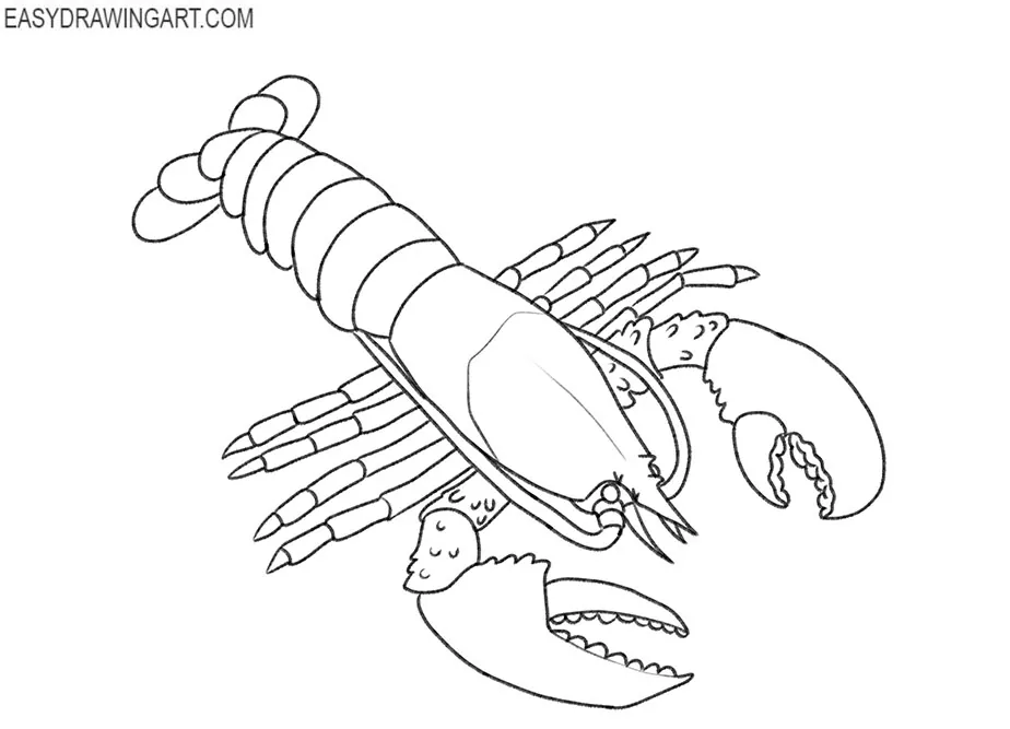 how to draw a lobster drawing