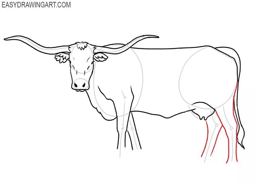 How to Draw a Longhorn Easy Drawing Art