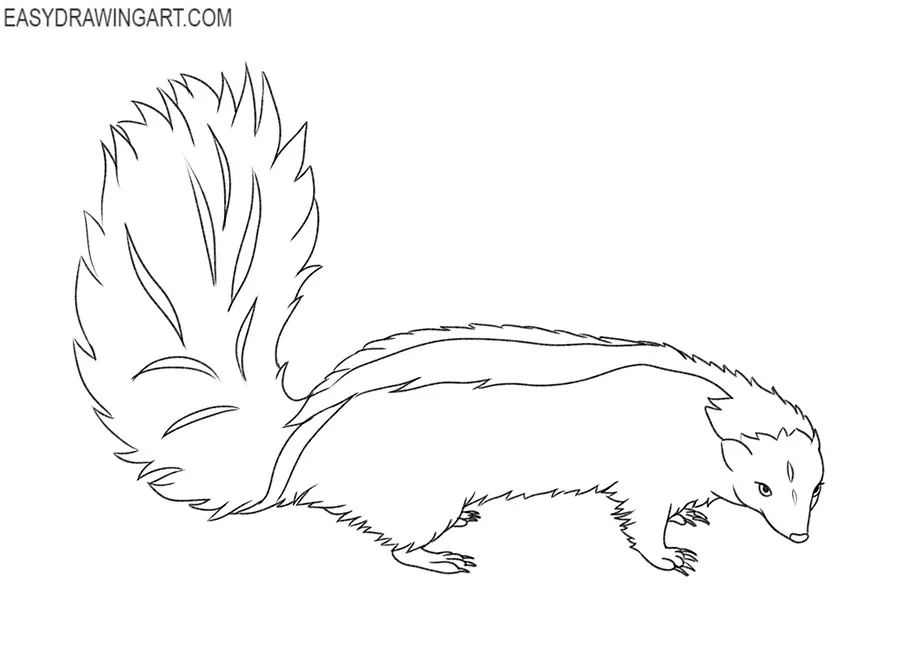 Skunk drawing guide