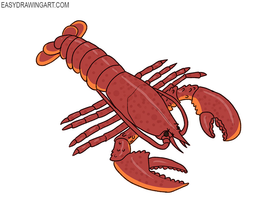 Cartoon Lobster Drawing  How To Draw A Cartoon Lobster Step By Step