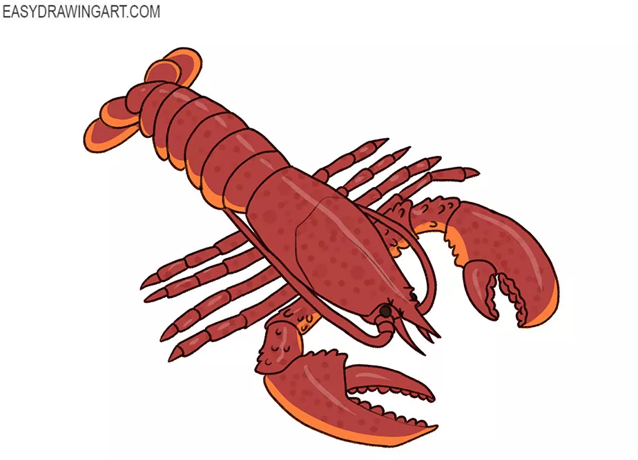 How to Draw a Lobster Easy Drawing Art