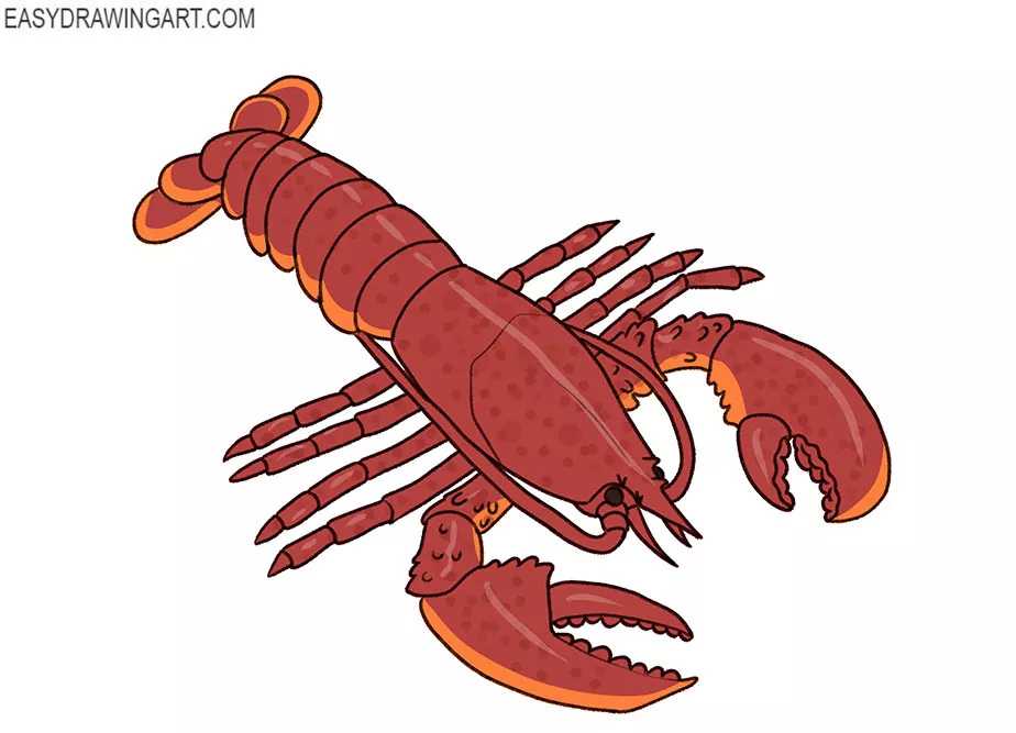 How To Draw A Lobster - Art For Kids Hub 