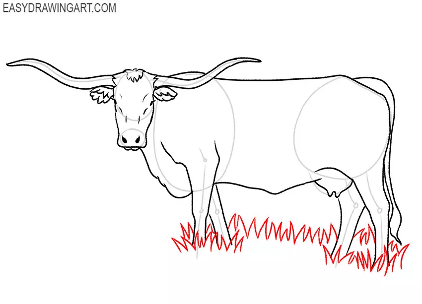 simple longhorn drawing