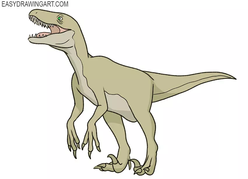 How to Draw a Raptor Easy Drawing Art