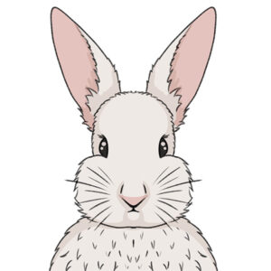 How to Draw a Rabbit Face