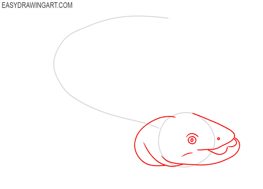 how to draw a catfish realistic