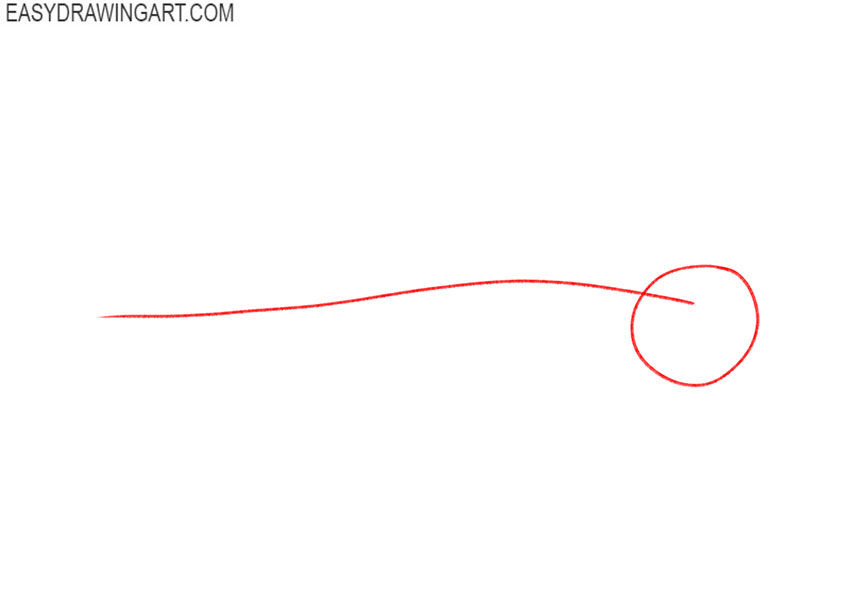 how to draw a great white shark easy