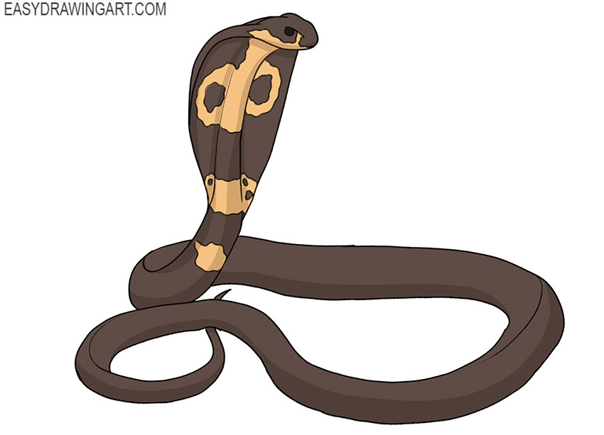 how to draw a king cobra for beginners