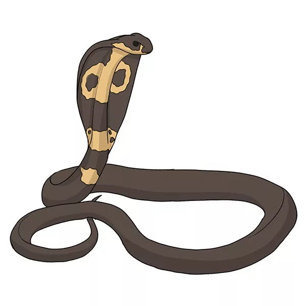 King Cobra SVG Clipart. Snake Vector Drawing. Cobra Tattoo Design. Spitting  Snake Line Art. Reptile Outline Graphics. PNG & SVG - Etsy