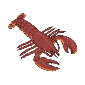 how to draw a lobster