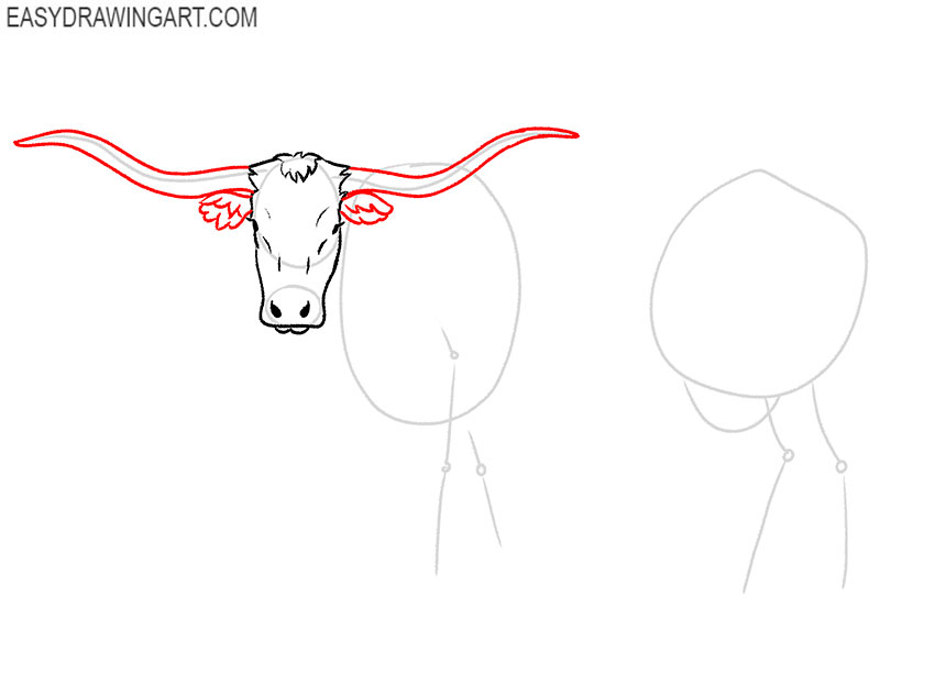 how to draw a longhorn step by step