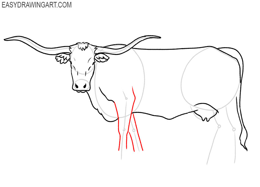 longhorn drawing tutorial